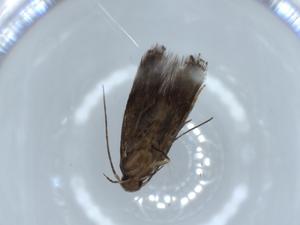  ( - BIOUG56327-F02)  @11 [ ] CreativeCommons - Attribution (2020) Centre for Biodiversity Genomics Centre for Biodiversity Genomics