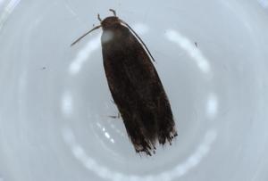  ( - BIOUG56327-F01)  @11 [ ] CreativeCommons - Attribution (2020) Centre for Biodiversity Genomics Centre for Biodiversity Genomics