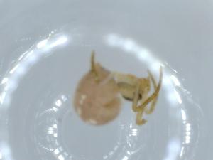  ( - BIOUG56053-D10)  @11 [ ] CreativeCommons - Attribution (2020) Centre for Biodiversity Genomics Centre for Biodiversity Genomics