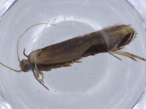  ( - BIOUG65093-B02)  @11 [ ] CreativeCommons - Attribution (2021) Centre for Biodiversity Genomics Centre for Biodiversity Genomics