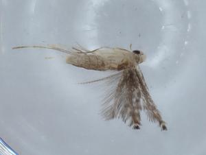  ( - BIOUG65374-G10)  @11 [ ] CreativeCommons - Attribution (2021) Centre for Biodiversity Genomics Centre for Biodiversity Genomics