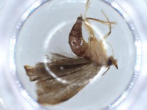  ( - BIOUG56431-E03)  @11 [ ] CreativeCommons - Attribution (2020) Centre for Biodiversity Genomics Centre for Biodiversity Genomics