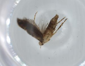  ( - BIOUG61350-B10)  @11 [ ] CreativeCommons - Attribution (2020) Centre for Biodiversity Genomics Centre for Biodiversity Genomics