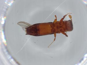  ( - BIOUG59500-C05)  @11 [ ] CreativeCommons - Attribution (2020) Centre for Biodiversity Genomics Centre for Biodiversity Genomics