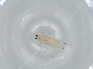  ( - BIOUG62818-C05)  @11 [ ] CreativeCommons - Attribution (2020) Centre for Biodiversity Genomics Centre for Biodiversity Genomics