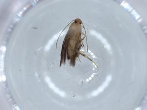  ( - BIOUG56470-C09)  @11 [ ] CreativeCommons - Attribution (2020) Centre for Biodiversity Genomics Centre for Biodiversity Genomics