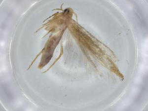  ( - BIOUG62232-G06)  @11 [ ] CreativeCommons - Attribution (2020) Centre for Biodiversity Genomics Centre for Biodiversity Genomics