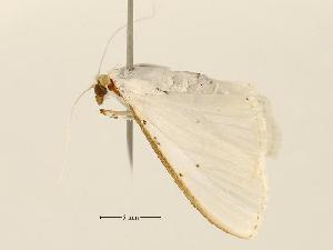  ( - USNM ENT 00196719)  @13 [ ] Unspecified (default): All Rights Reserved  Unspecified Unspecified