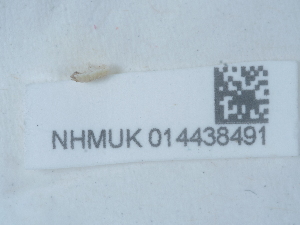  ( - NHMUK014438491)  @11 [ ] Unspecified (default): All Rights Reserved  Unspecified Unspecified