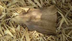  ( - Bb37a)  @11 [ ] No Rights Reserved  Unspecified Unspecified
