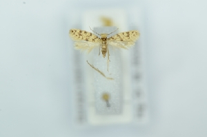  ( - CMW_BC0647)  @11 [ ] copyright (2025) Unspecified POESE