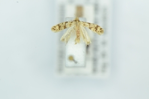  ( - CMW_BC0648)  @11 [ ] copyright (2025) Unspecified POESE