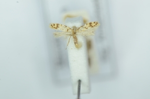  ( - CMW_BC0682)  @11 [ ] copyright (2025) Unspecified POESE