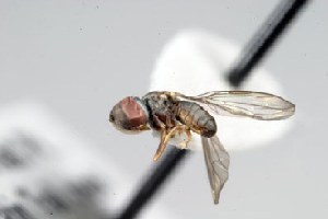  ( - debu-243054)  @12 [ ] Copyright (2010) Unspecified Unspecified