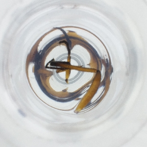  ( - POMS_002_B10)  @11 [ ] by  Genome Research Ltd as Wellcome Sanger Institute Genome Research Limited operating as Wellcome Sanger Institute