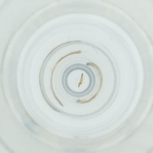  ( - POMS_003_E9)  @11 [ ] by  Genome Research Ltd as Wellcome Sanger Institute Genome Research Limited operating as Wellcome Sanger Institute