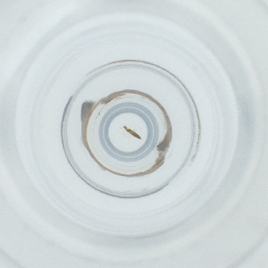  ( - POMS_004_B3)  @11 [ ] by  Genome Research Ltd as Wellcome Sanger Institute Genome Research Limited operating as Wellcome Sanger Institute