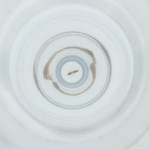  ( - POMS_004_B6)  @11 [ ] by  Genome Research Ltd as Wellcome Sanger Institute Genome Research Limited operating as Wellcome Sanger Institute