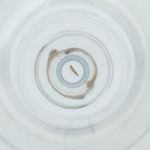  ( - POMS_004_B7)  @11 [ ] by  Genome Research Ltd as Wellcome Sanger Institute Genome Research Limited operating as Wellcome Sanger Institute