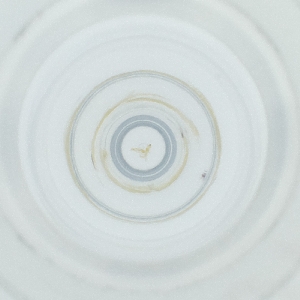  ( - POMS_004_C4)  @11 [ ] by  Genome Research Ltd as Wellcome Sanger Institute Genome Research Limited operating as Wellcome Sanger Institute