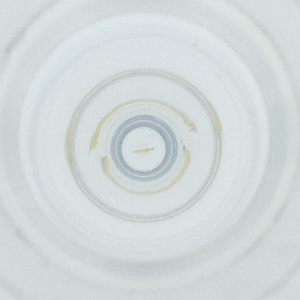  ( - POMS_004_C5)  @11 [ ] by  Genome Research Ltd as Wellcome Sanger Institute Genome Research Limited operating as Wellcome Sanger Institute