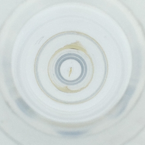  ( - POMS_004_D9)  @11 [ ] by  Genome Research Ltd as Wellcome Sanger Institute Genome Research Limited operating as Wellcome Sanger Institute