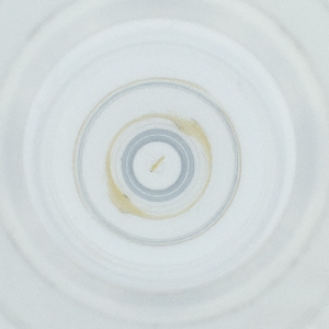  ( - POMS_004_E4)  @11 [ ] by  Genome Research Ltd as Wellcome Sanger Institute Genome Research Limited operating as Wellcome Sanger Institute