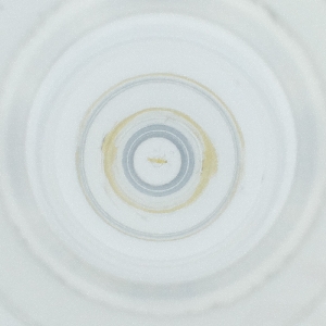  ( - POMS_004_E6)  @11 [ ] by  Genome Research Ltd as Wellcome Sanger Institute Genome Research Limited operating as Wellcome Sanger Institute