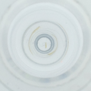  ( - POMS_004_E8)  @11 [ ] by  Genome Research Ltd as Wellcome Sanger Institute Genome Research Limited operating as Wellcome Sanger Institute