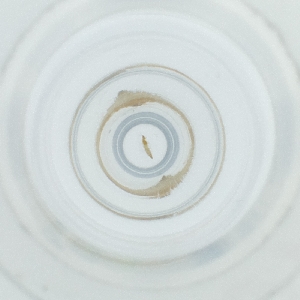  ( - POMS_004_F8)  @11 [ ] by  Genome Research Ltd as Wellcome Sanger Institute Genome Research Limited operating as Wellcome Sanger Institute