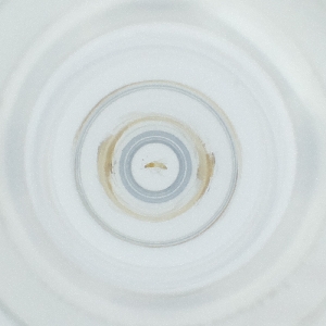  ( - POMS_004_G3)  @11 [ ] by  Genome Research Ltd as Wellcome Sanger Institute Genome Research Limited operating as Wellcome Sanger Institute