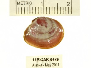  ( - 11BIOAK-0449)  @13 [ ] CreativeCommons - Attribution  Unspecified Centre for Biodiversity Genomics