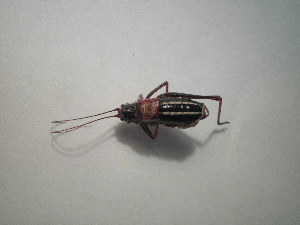  ( - CCDB-11143-G03)  @12 [ ] Copyright  G. Blagoev 2011 Unspecified