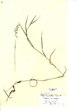  ( - NMW014)  @11 [ ] Unspecified (default): All Rights Reserved  Unspecified Unspecified