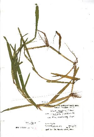  ( - NMW179)  @11 [ ] Unspecified (default): All Rights Reserved  Unspecified Unspecified