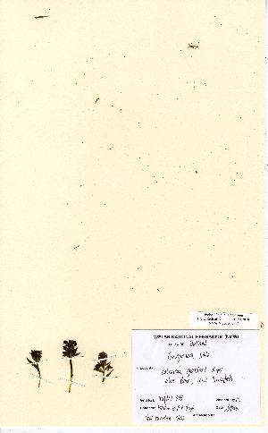  ( - NMW5105)  @11 [ ] Unspecified (default): All Rights Reserved  Unspecified Unspecified