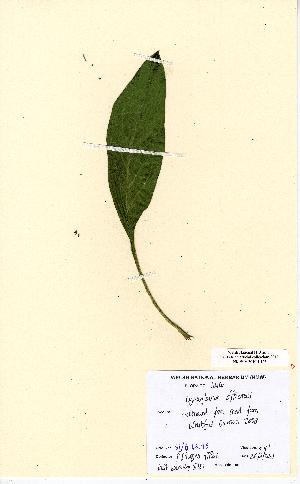  ( - NMW5183)  @11 [ ] Unspecified (default): All Rights Reserved  Unspecified Unspecified