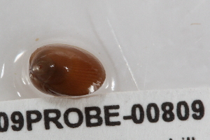  ( - PPM013)  @13 [ ] Unspecified (default): All Rights Reserved  Unspecified Unspecified