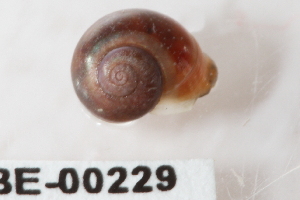  ( - PPM146)  @12 [ ] Unspecified (default): All Rights Reserved  Unspecified Unspecified