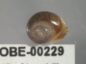  ( - PPM146)  @13 [ ] Unspecified (default): All Rights Reserved  Unspecified Unspecified