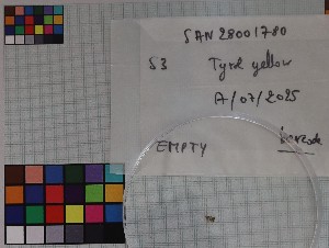  (Epermenia ochreomaculella - SAN28001780)  @11 [ ] Unspecified (default): All Rights Reserved  Unspecified Unspecified