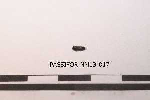  ( - PASSIFOR-NM13-017)  @11 [ ] Copyright (2014) Nicolas Moulin Nicolas Moulin Entomologiste