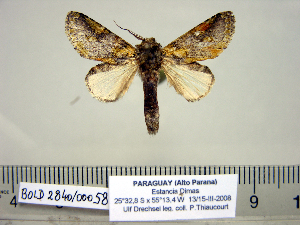  ( - Ad17-5-2 B2840-58)  @13 [ ] Copyright (2010) Paul Thiaucourt Research Collection of Paul Thiaucourt