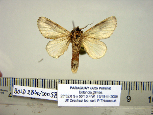  ( - Ad17-5-2 B2840-58)  @13 [ ] Copyright (2010) Paul Thiaucourt Research Collection of Paul Thiaucourt