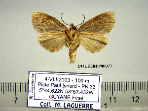  ( - Af15-6-7 B2840-77)  @13 [ ] Copyright (2010) Paul Thiaucourt Research Collection of Paul Thiaucourt