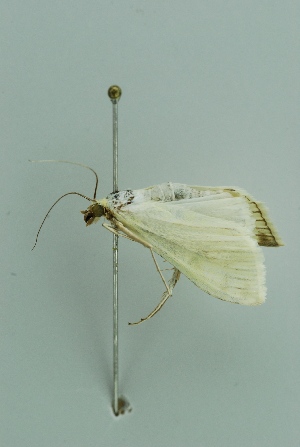  ( - BC MTD 00181)  @12 [ ] Unspecified (default): All Rights Reserved  Unspecified Unspecified