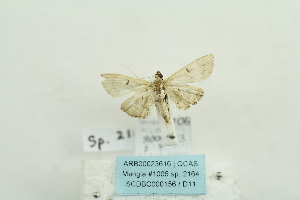  ( - ARB00023616)  @12 [ ] Copyright  SCDBC-KIZ-CAS, Imaging group Kunming Institute of Zoology, CAS