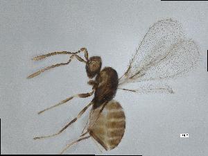  ( - QMOR87873)  @11 [ ] Unspecified (default): All Rights Reserved  Unspecified Unspecified
