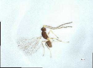  ( - QMOR88022)  @11 [ ] Unspecified (default): All Rights Reserved  Unspecified Unspecified