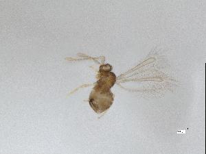  ( - QMOR88097)  @11 [ ] Unspecified (default): All Rights Reserved  Unspecified Unspecified